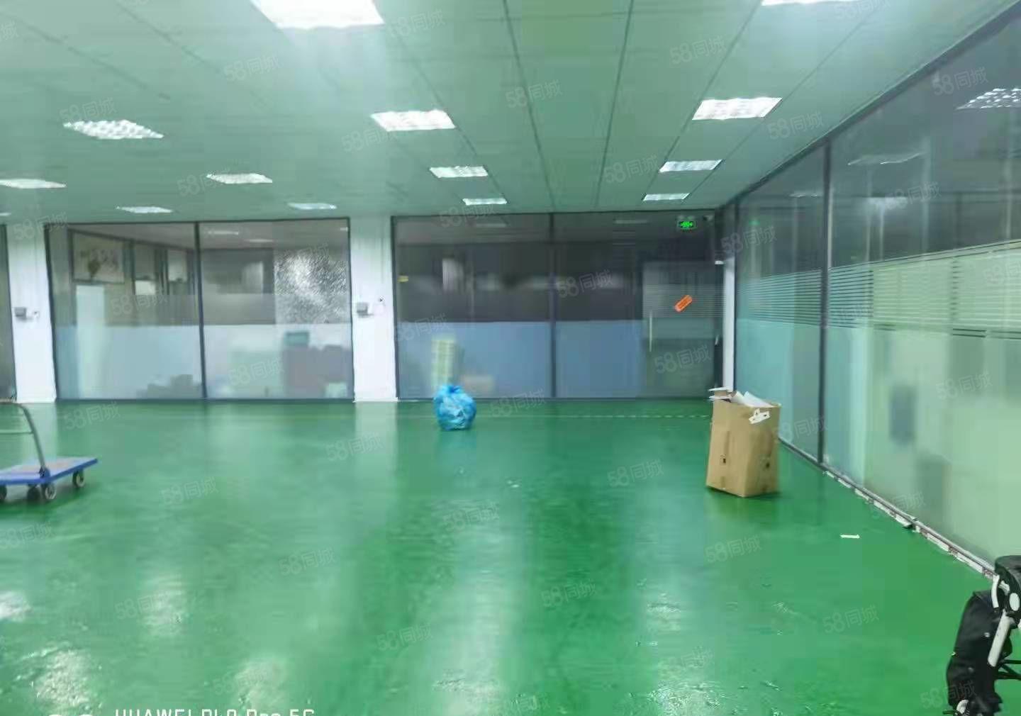 石碣刘屋独院厂房二楼1000方（精装修  无转让费  空地）