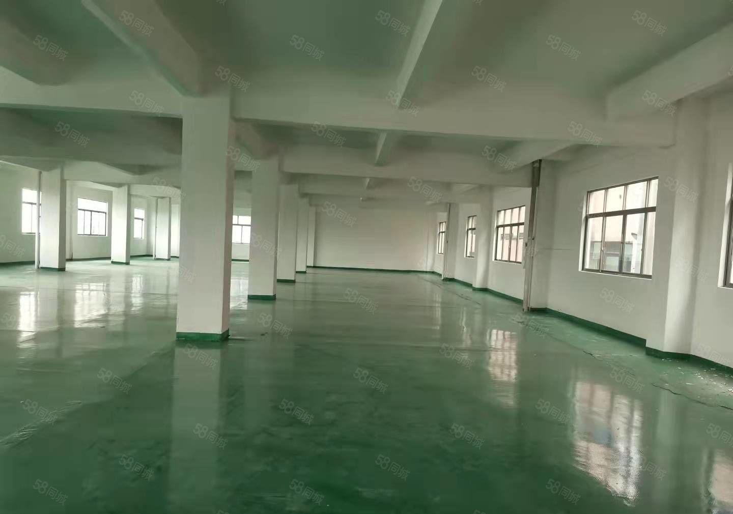 石碣四甲招租全新厂房二楼800平方，现成装修，入驻即可生产！