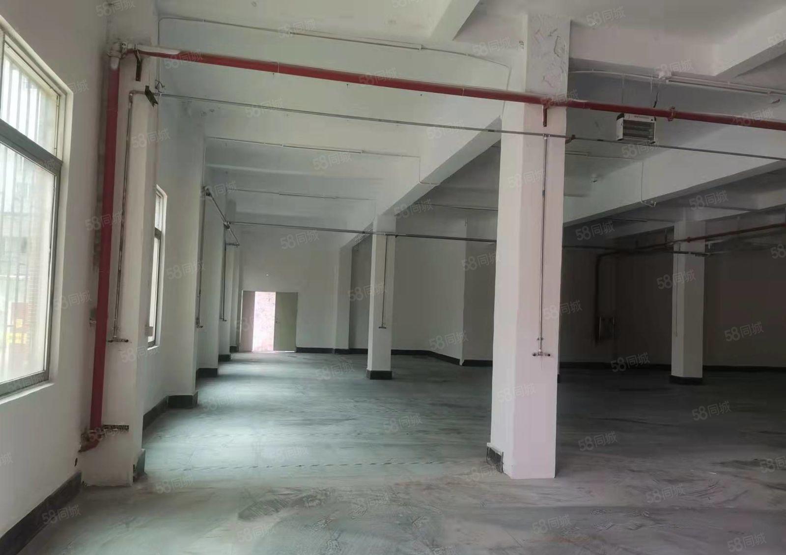 石碣横滘招租独院厂房一楼600平方，位置好，可办环评！