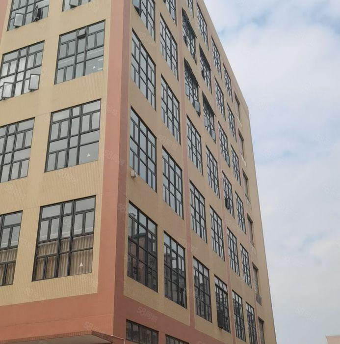 石碣桔洲低价厂房出租3500平方起分租价格10元起