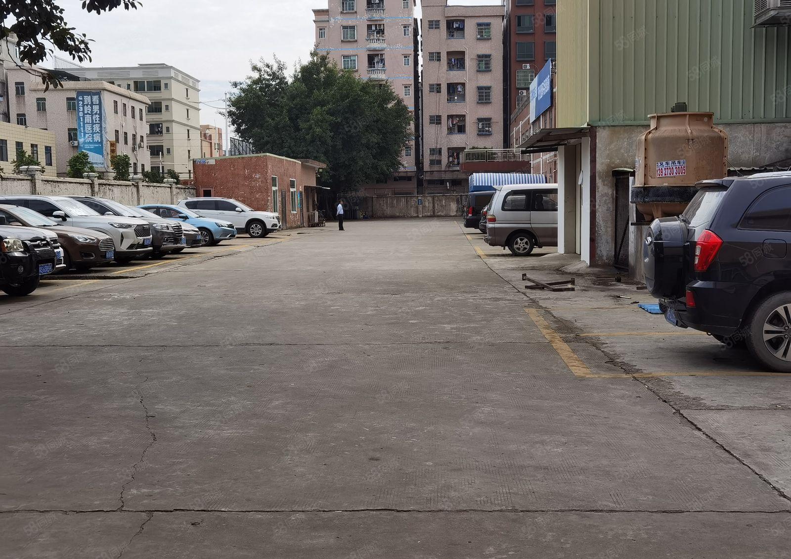 石竭横滘园区新出标准单一层2500平滴水8米大小可分