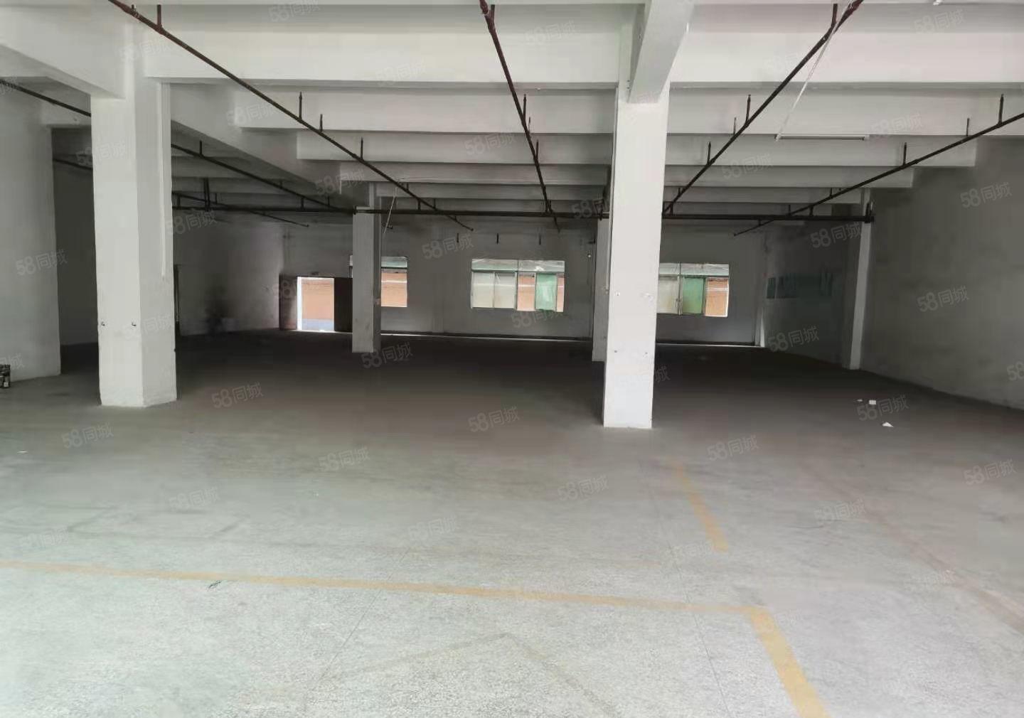 石碣一手房东招租标准独院厂房一楼800平方，无公摊，可办环评