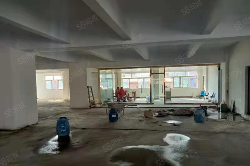 新盘！东莞石碣镇独栋厂房出租！价格便宜！可以分租