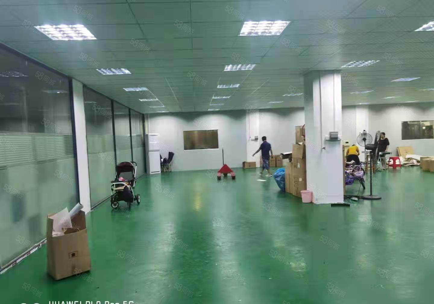 石碣刘屋独院厂房二楼1000方（精装修  无转让费  空地）