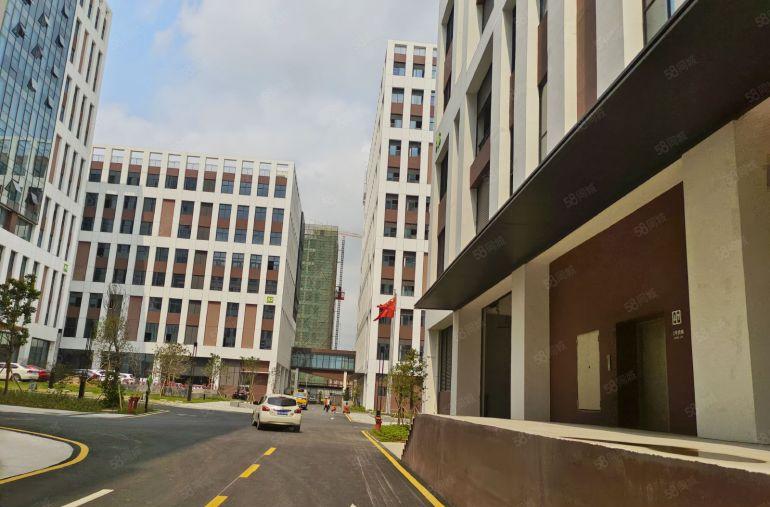 业主直租10块一平！石龙二桥出口1500平原房东全新厂房出租