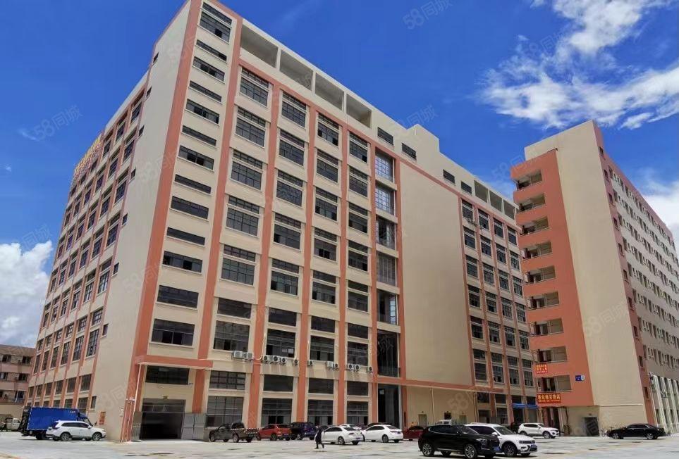 石龙新城区全新工业园出租。面积可按需分租，价格12起