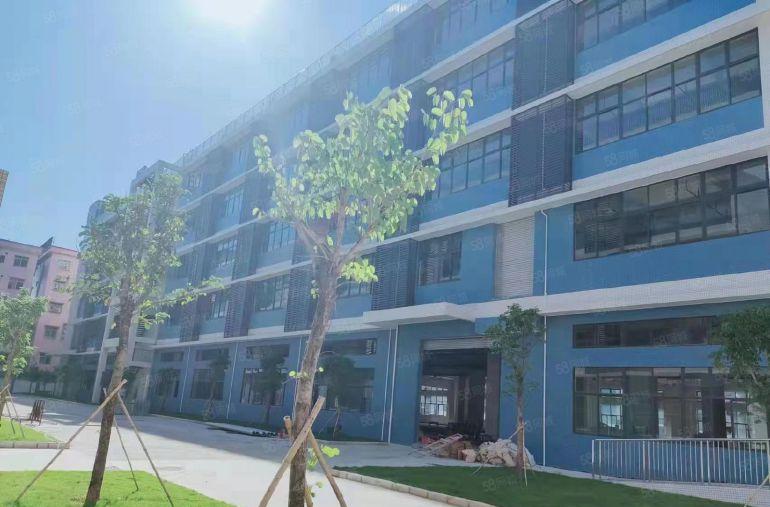 业主直租10块一平！石龙二桥旁1500平全新红本厂房出租