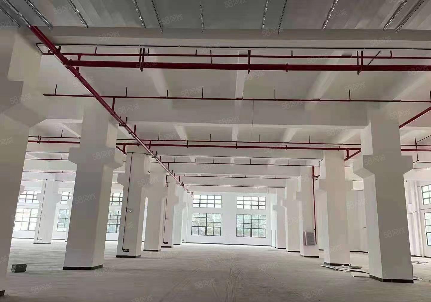 石龙新城区全新工业园出租。面积可按需分租，价格12起