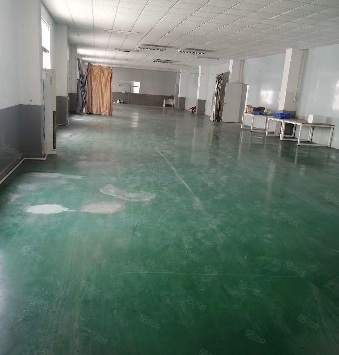 清溪大利工业区独门独院厂房3000平方 精装修 价格优惠