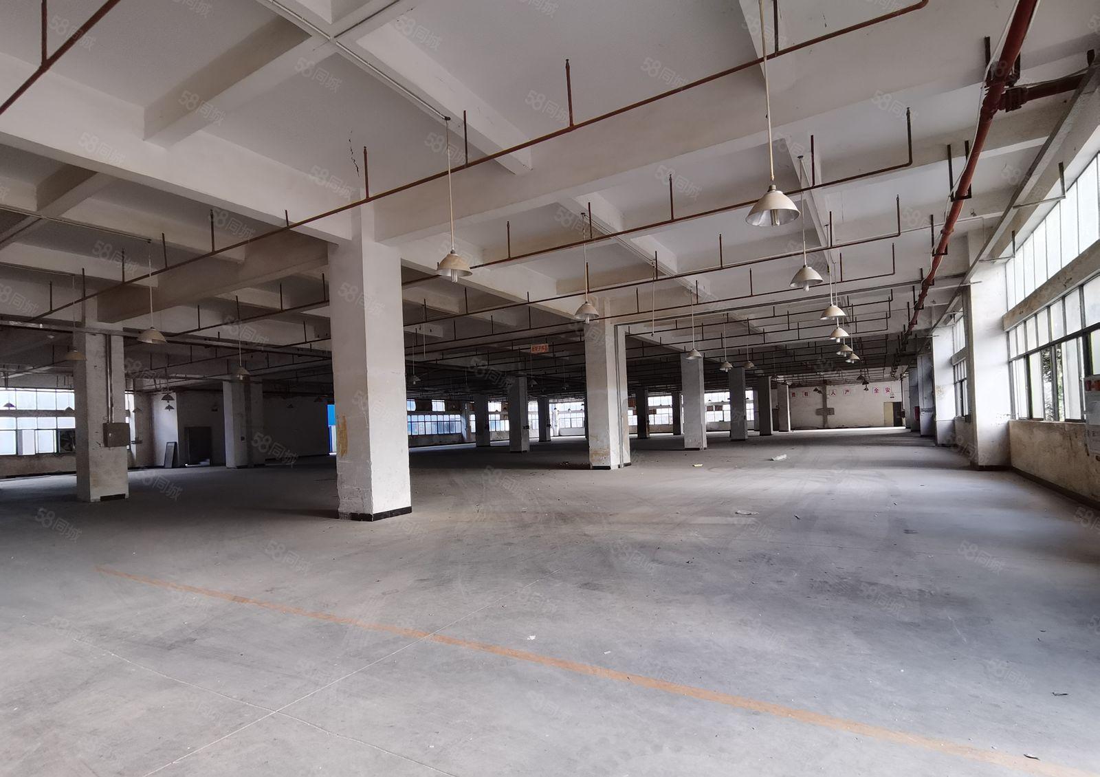 ！清溪原房东厂房直租，可分租