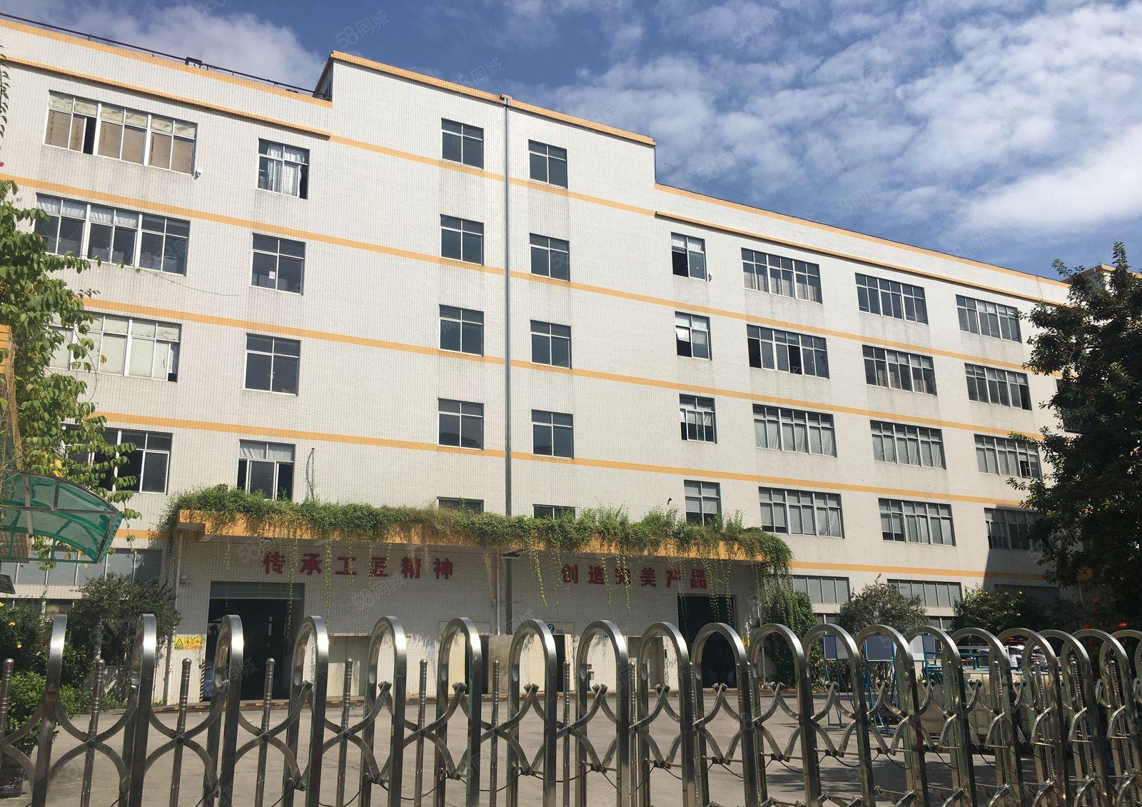 清溪金竹工业区独院3600平一楼仓库厂房出租可分租可办环评