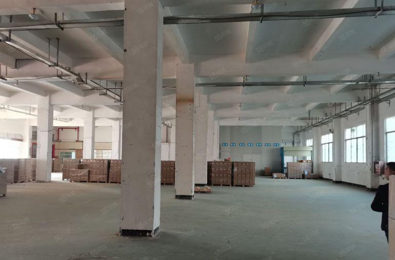 清溪原房东独院标准厂房8000平，国有红本双证，实际面积出租