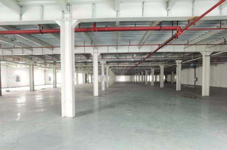 清溪镇三层独栋16900平方工业园厂房出租可分租1000平起