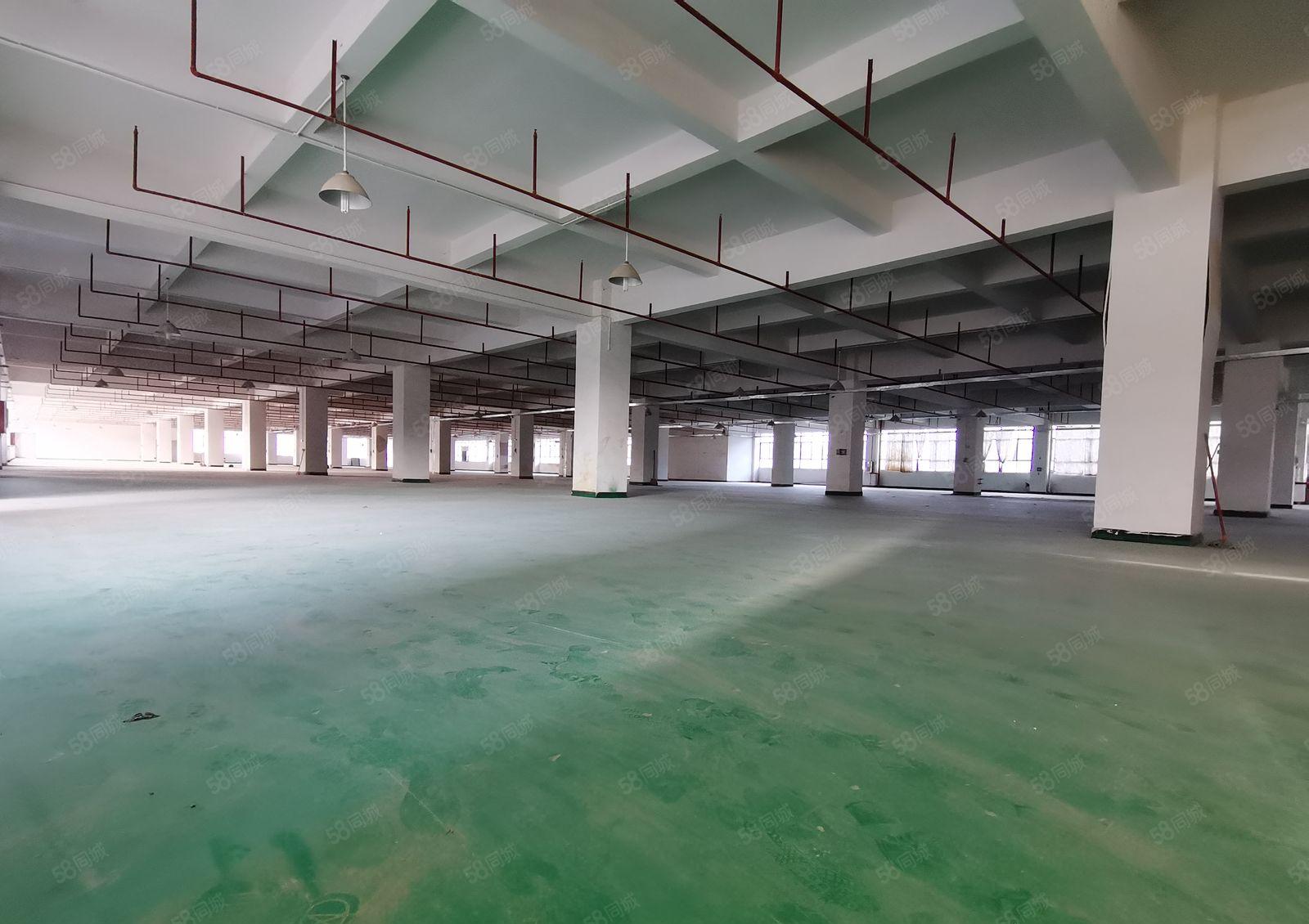 ！清溪原房东厂房直租，可分租