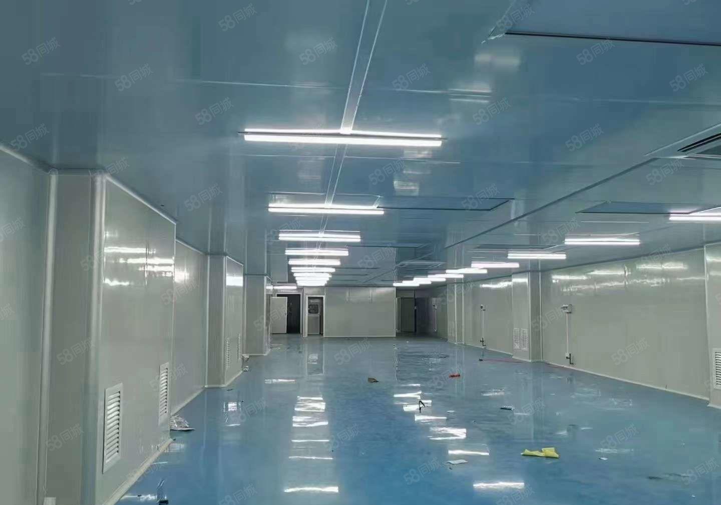 清溪楼上1380平现成10万级无尘车间厂房出租 全新中央空凋