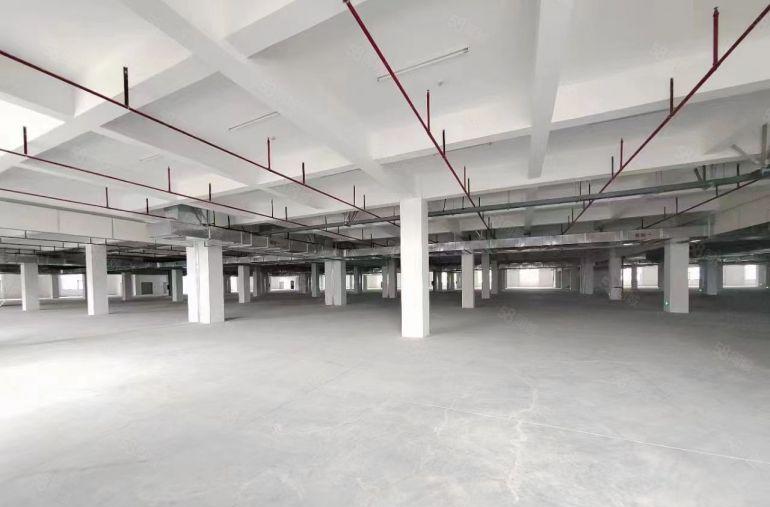 清溪客运站附近新出独院三层45000平厂房出租可分租行业不限