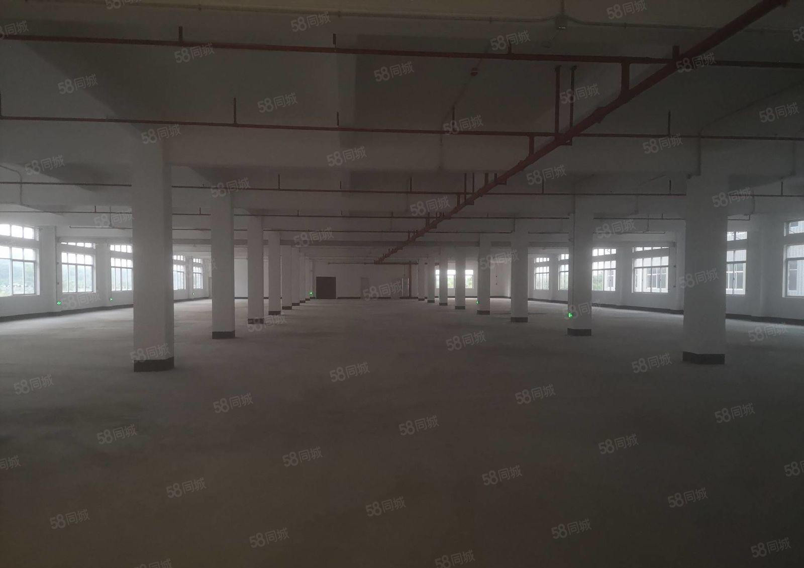 清溪镇全新标准厂房独院50000平出租 园区形象好带红本可分