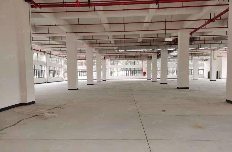实际面积租！清溪三中原房东红本独栋8000平厂房仓库低价出租