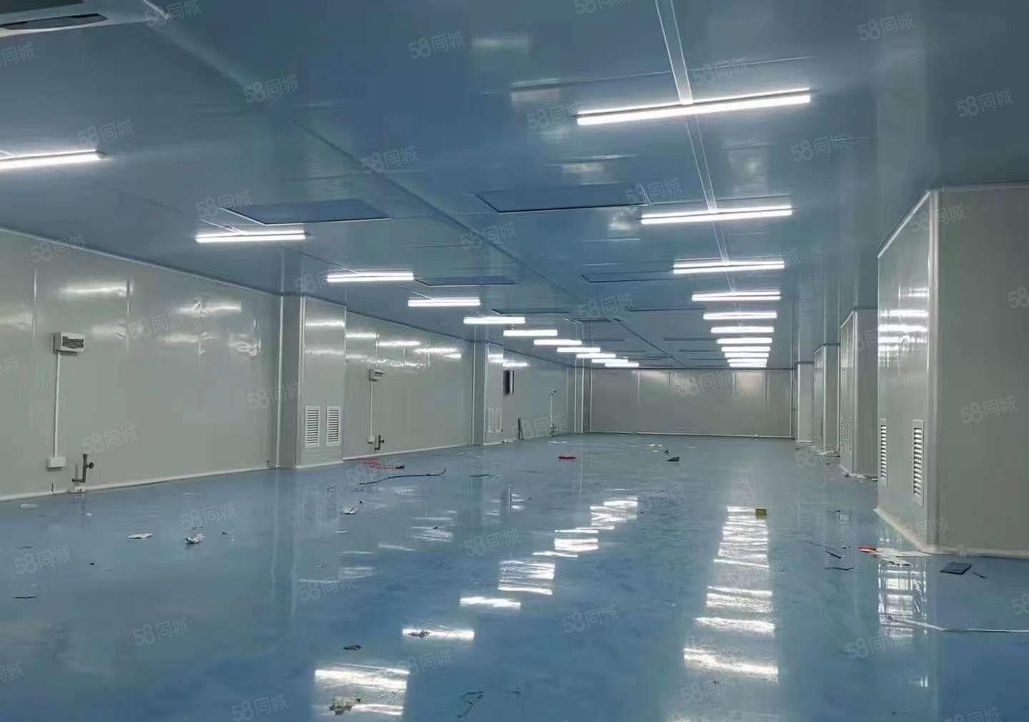 清溪楼上1380平现成10万级无尘车间厂房出租 全新中央空凋