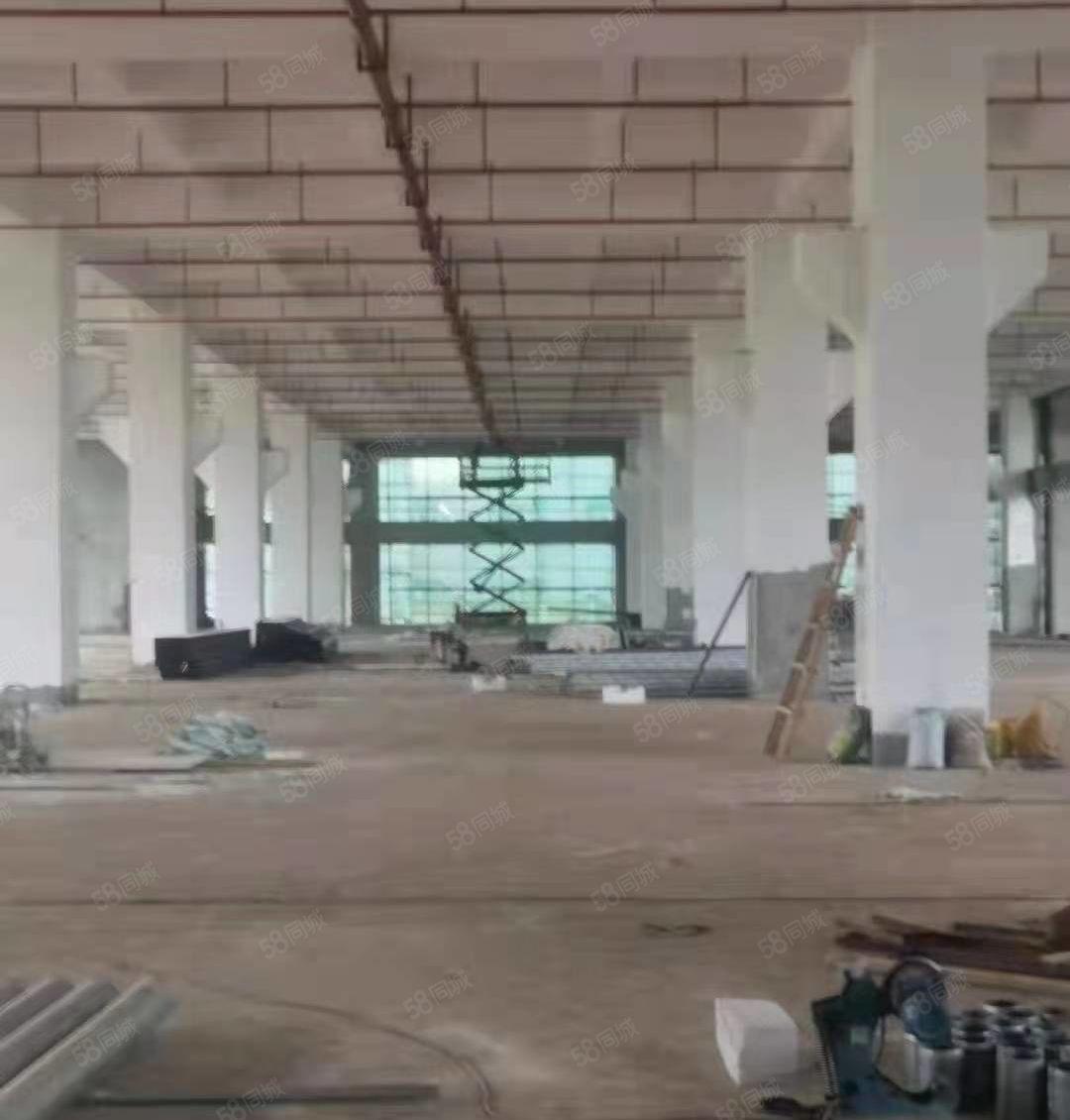 有红本，清溪原房东全新独院厂房出租4万平方，可分租