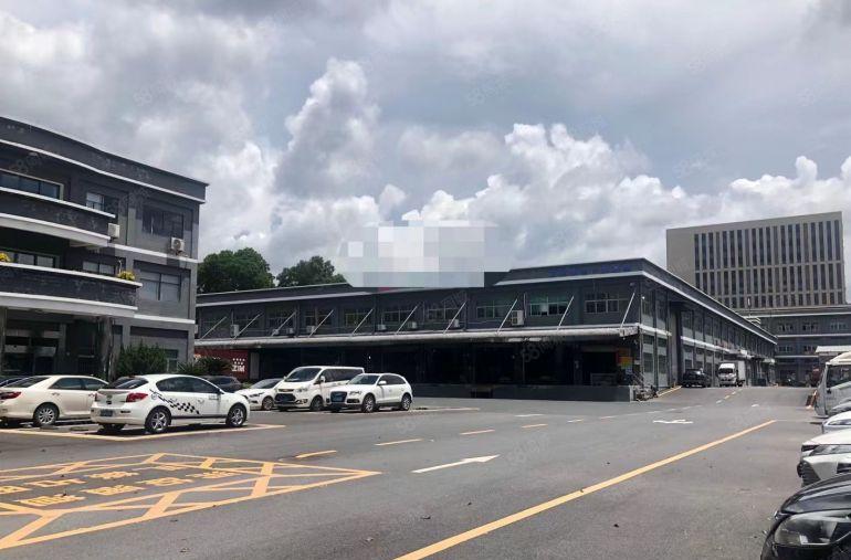 价格好谈15元清溪三中10米高单一层1000平起租带卸货平台