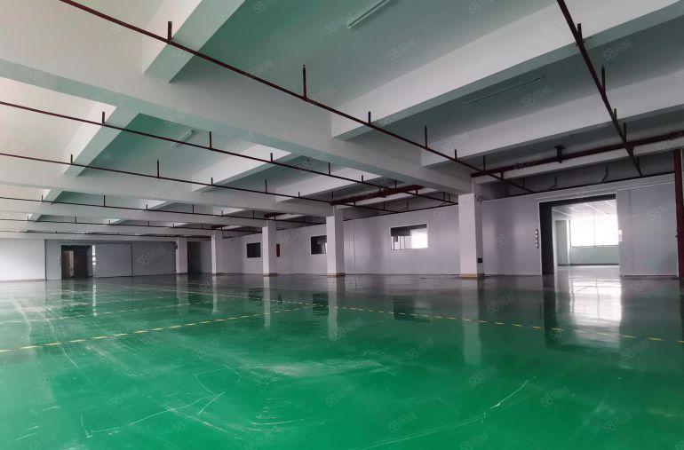 10起租清溪三中工业区厂房出租楼上500平起租厂房招租可分租