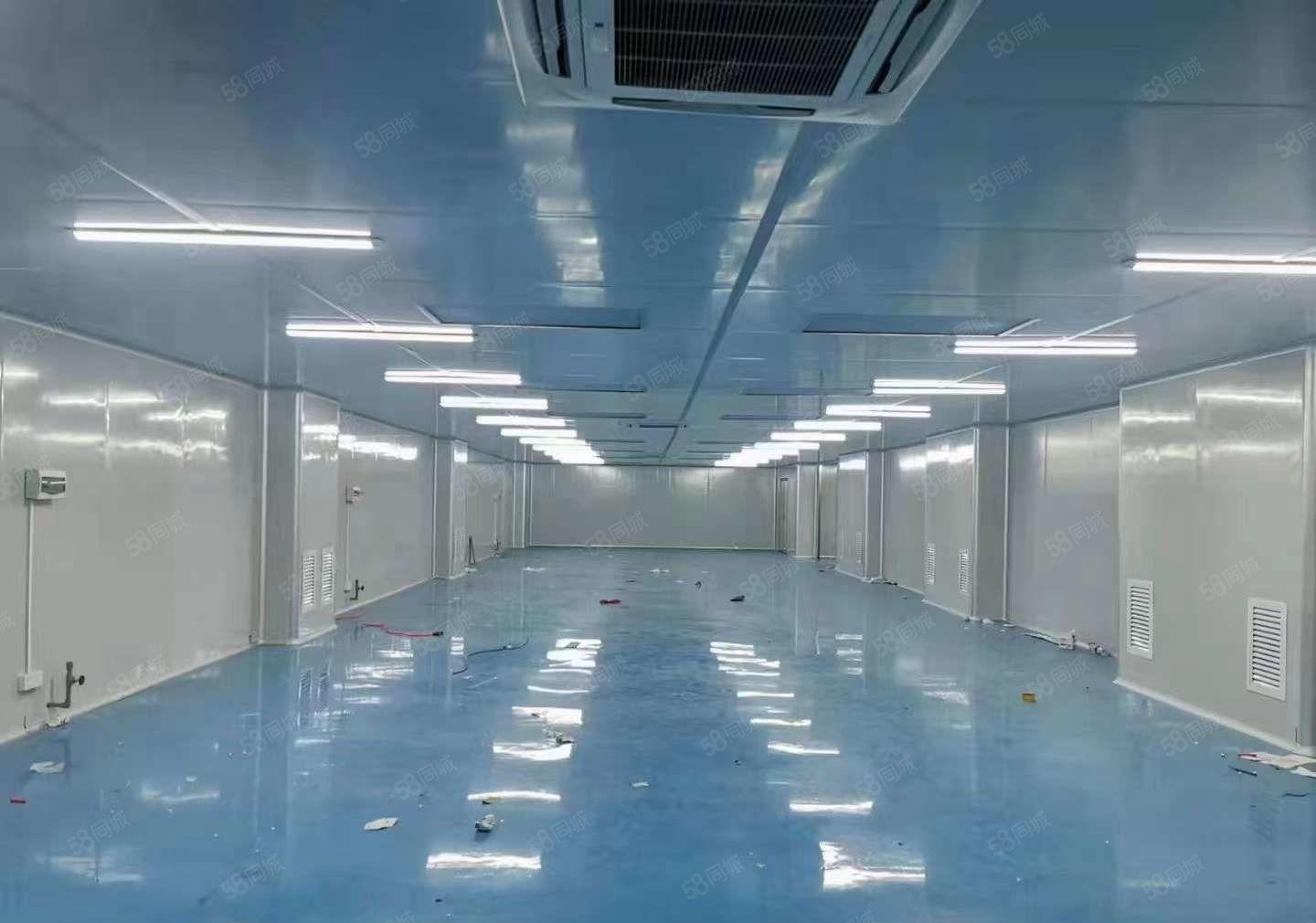 清溪楼上1380平现成10万级无尘车间厂房出租 全新中央空凋