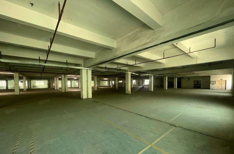 清溪原房东楼上2000平实际面积两吨电梯便宜厂房出租