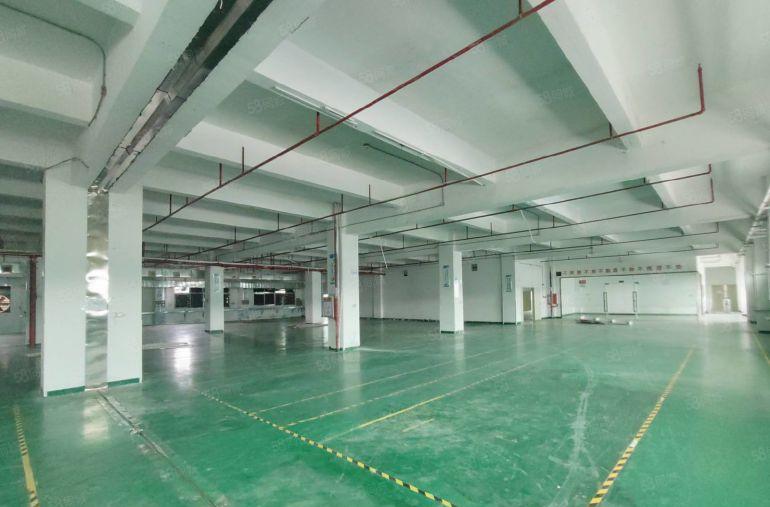 清溪环保工业园可做电池厂房出租1103精装修可分租