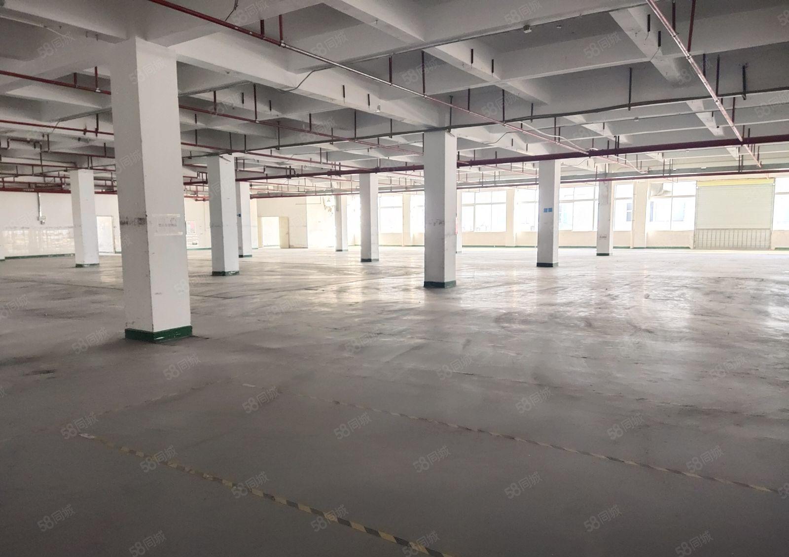 清溪上元工业区原房东楼上1600平红本标准仓库厂房出租可分租