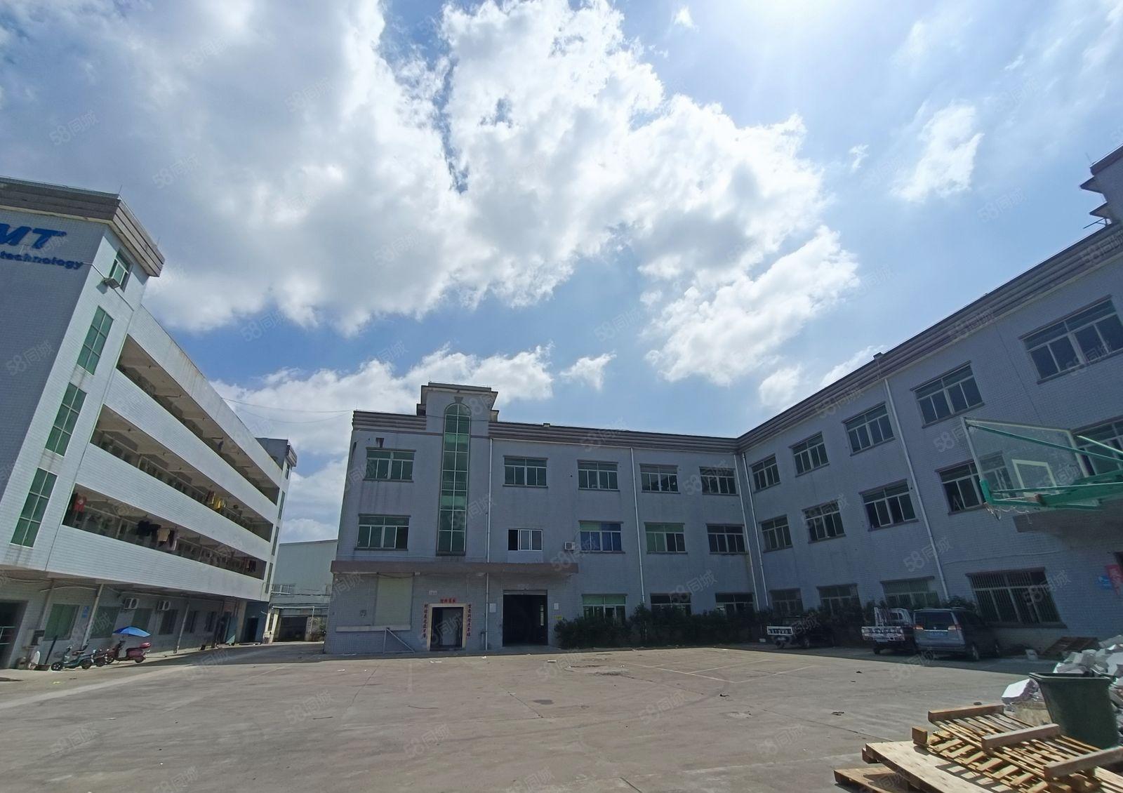 清溪谢坑新出标准一楼2000平带办公室，现成地坪漆，有消防喷