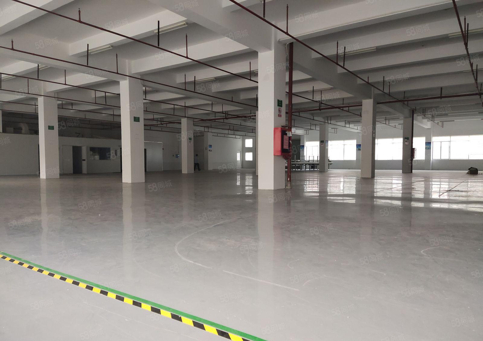 清溪三中原房东一楼2百平5百平8百平1千平仓库厂房出租可分租