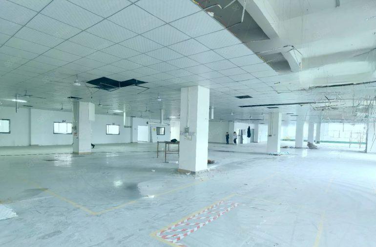 清溪高速口2150平可以分租，带装修前台，空地大，交通便利