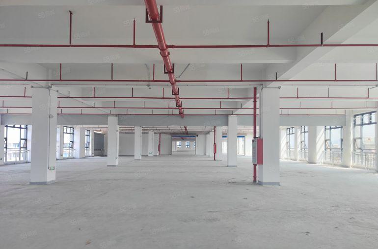 清溪厂房青皇超大空地全新厂房40000平出租可分租