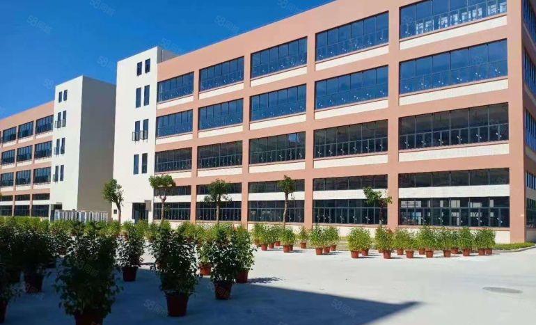 实际面积租！清溪三中原房东红本独栋8000平厂房仓库低价出租