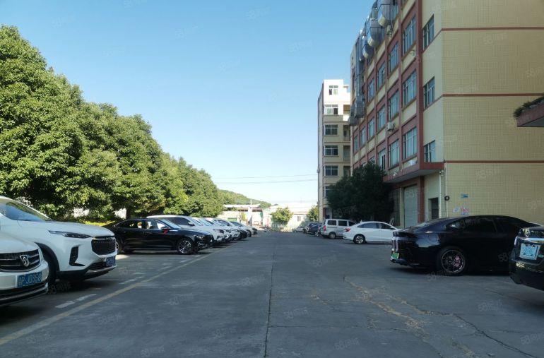 清溪三中原房东3楼830平带装修，精装如图适合各种行业