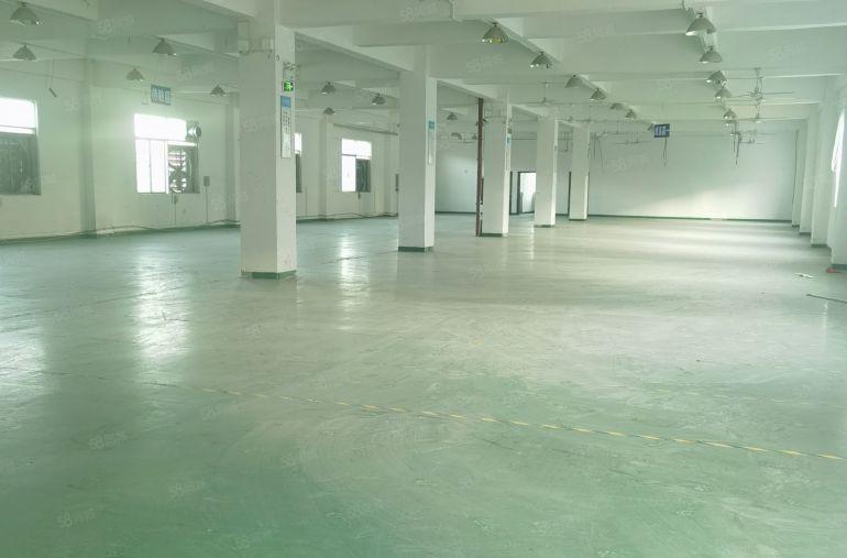 清溪三中原房东独院厂房出租6450平方，带行车水电豪华装修