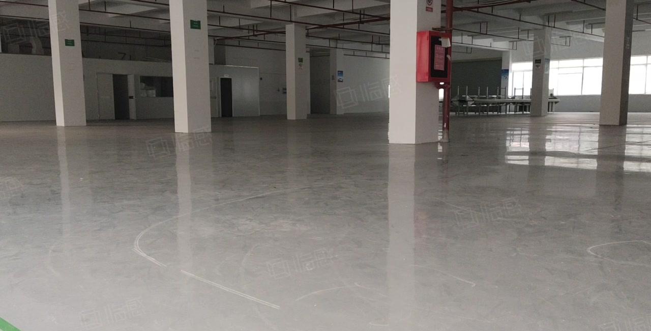 清溪三中原房东一楼2百平5百平8百平1千平仓库厂房出租可分租