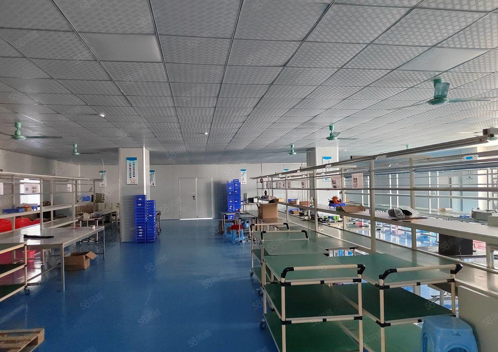 主打电池行业 保驾护航 清溪镇三中村 厂房二楼984平