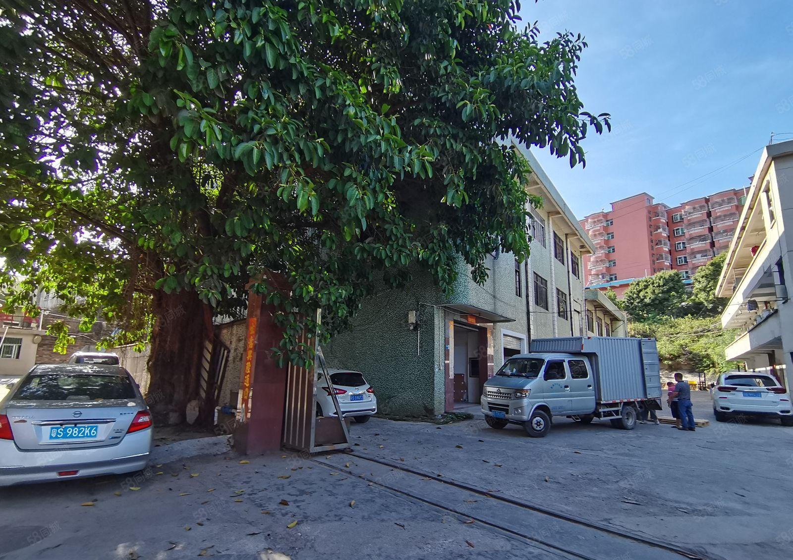 清溪大浦工业区独栋2百5百8百1千平红本标准仓库厂房出租分租