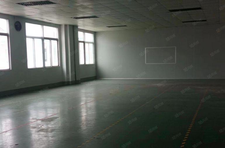 大型园区楼上新空出1300平，现成装修车间办公室，价格好谈！