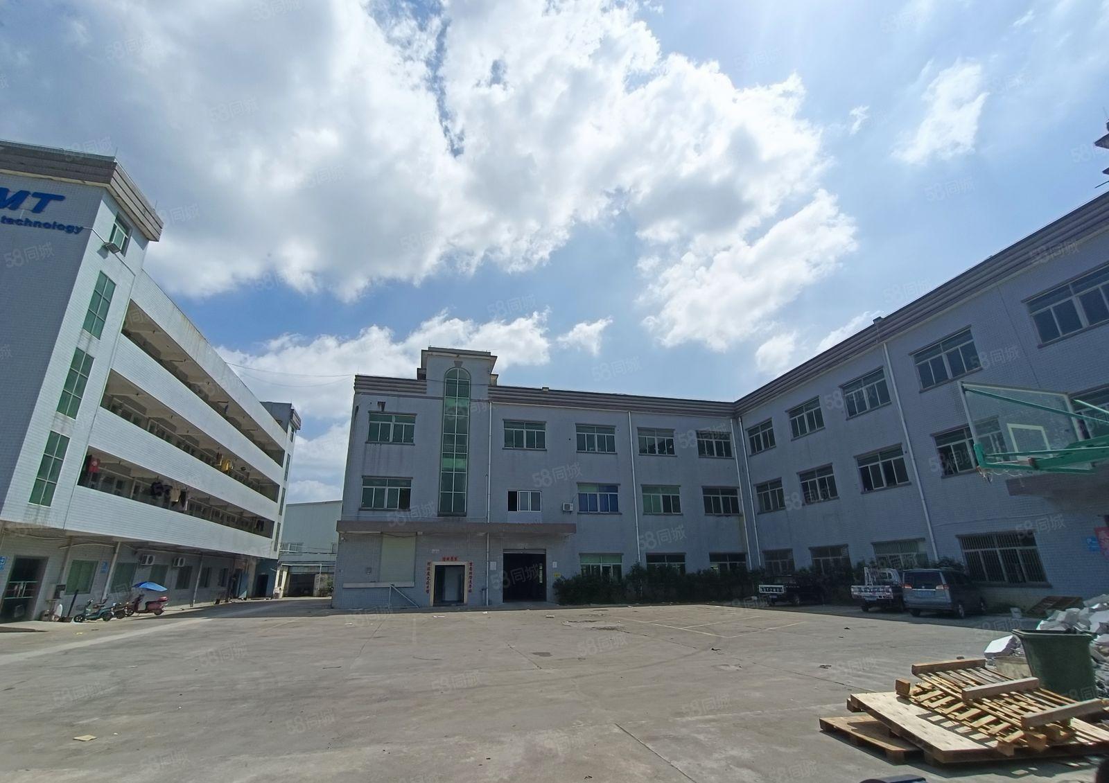 清溪谢坑新出标准一楼2000平带办公室，现成地坪漆，有消防喷