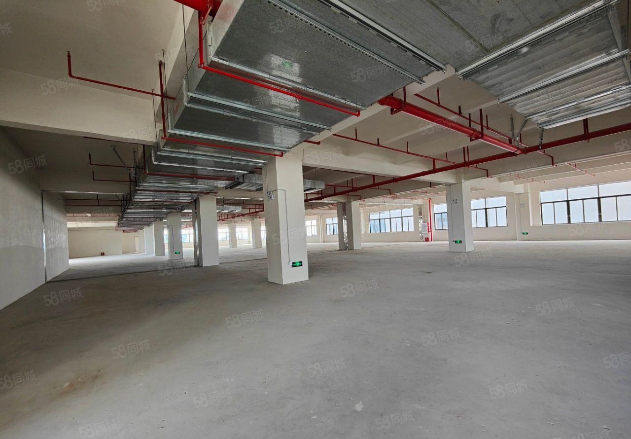 清溪镇原房东独门独院标准厂房出租，园区证件齐全，超大空地