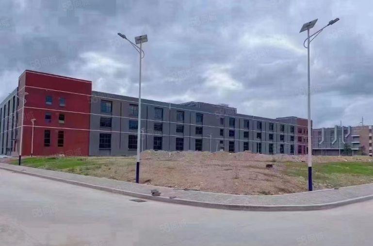 清溪客运站附近新出独院三层45000平厂房出租可分租行业不限