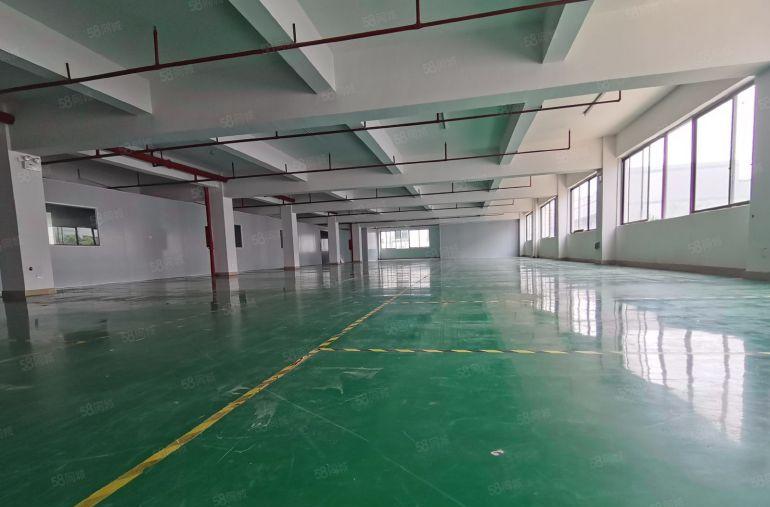 10起租清溪三中工业区厂房出租楼上500平起租厂房招租可分租