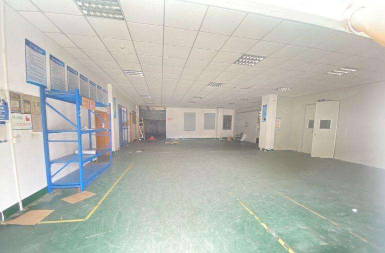 清溪原房东独院  适合电子制衣手袋五金模具家具等等