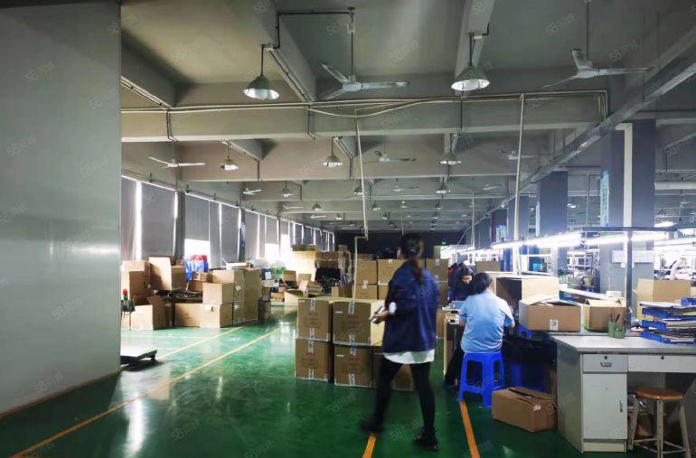 清溪三中村委独院标准厂房4500平空地大厂房仓库出租