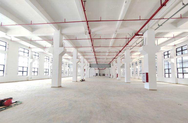 清溪镇原房东全新一楼3000平米厂房出租，带牛腿，层高7米