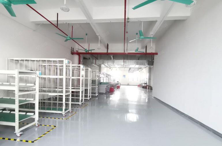 东莞清溪新出标准工业厂房，三中楼上新出1600平可