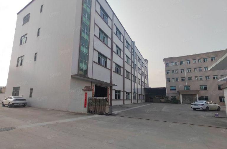 清溪镇三中村 新出标准一楼1180平厂房出租 带装修办公室